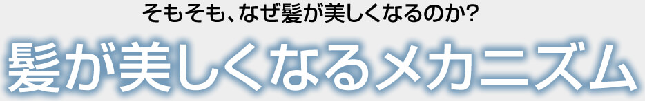 そもそも、なぜ髪が美しくなるのか? 髪が美しくなるメカニズム