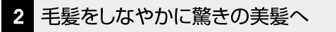 毛髪をしなやかに驚きの美髪へ