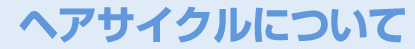 ヘアサイクルについて