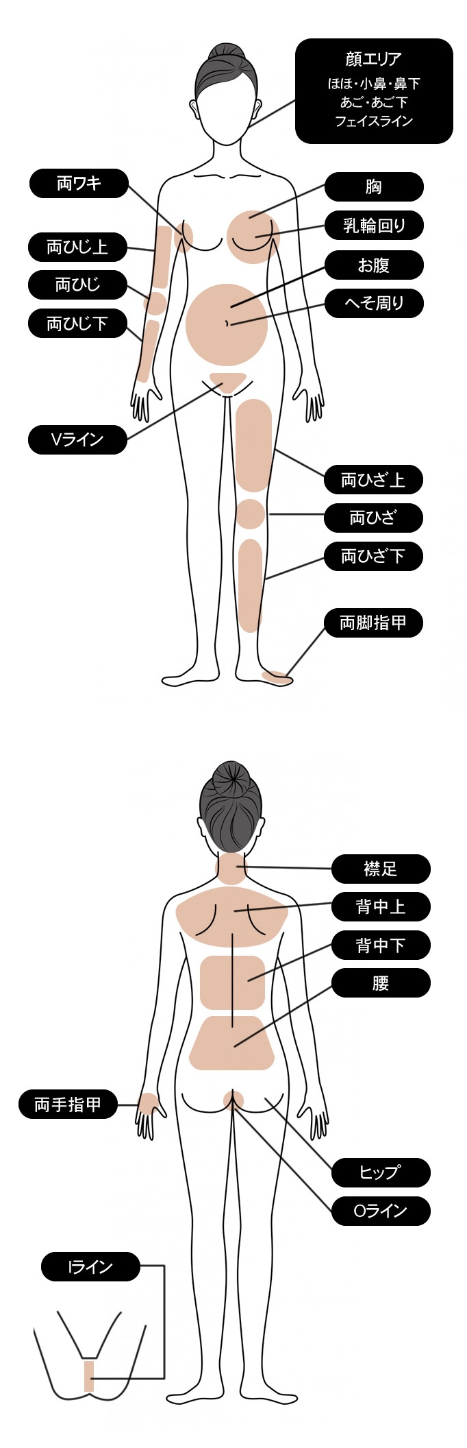 家庭用光脱毛器 徹底比較 使用箇所 脱毛部位の名称