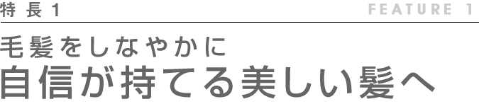 毛髪をしなやかに 自信が持てる美しい髪へ