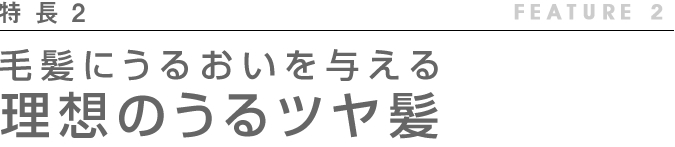 頭皮・毛髪にうるおいを与え 理想のうるツヤ髪