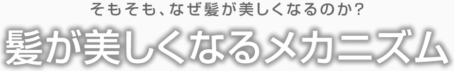 そもそも、なぜ髪が美しくなるのか? 髪が美しくなるメカニズム