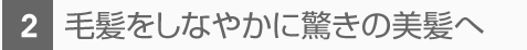 毛髪をしなやかに驚きの美髪へ