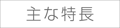 主な特長