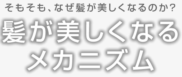 そもそも、なぜ髪が美しくなるのか? 髪が美しくなるメカニズム