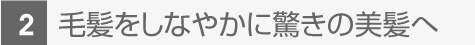 独自技術を直接アプローチ