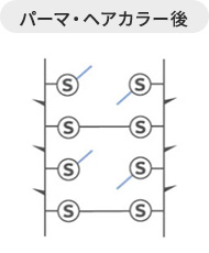 パーマ・カラー後