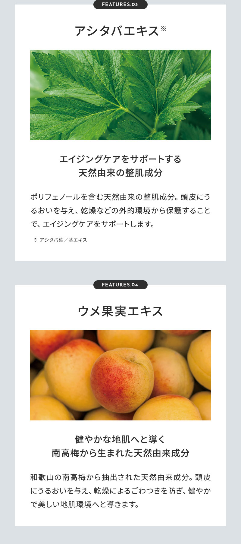 1DK スカルプケアシリーズ