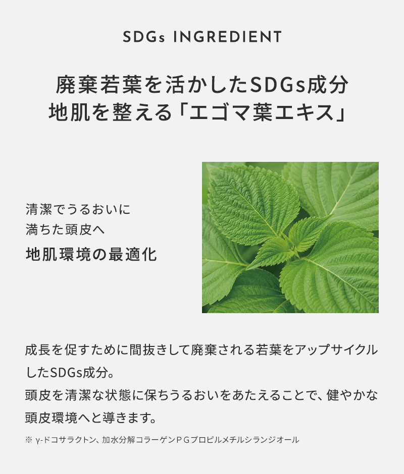 1DK スカルプケアシリーズ