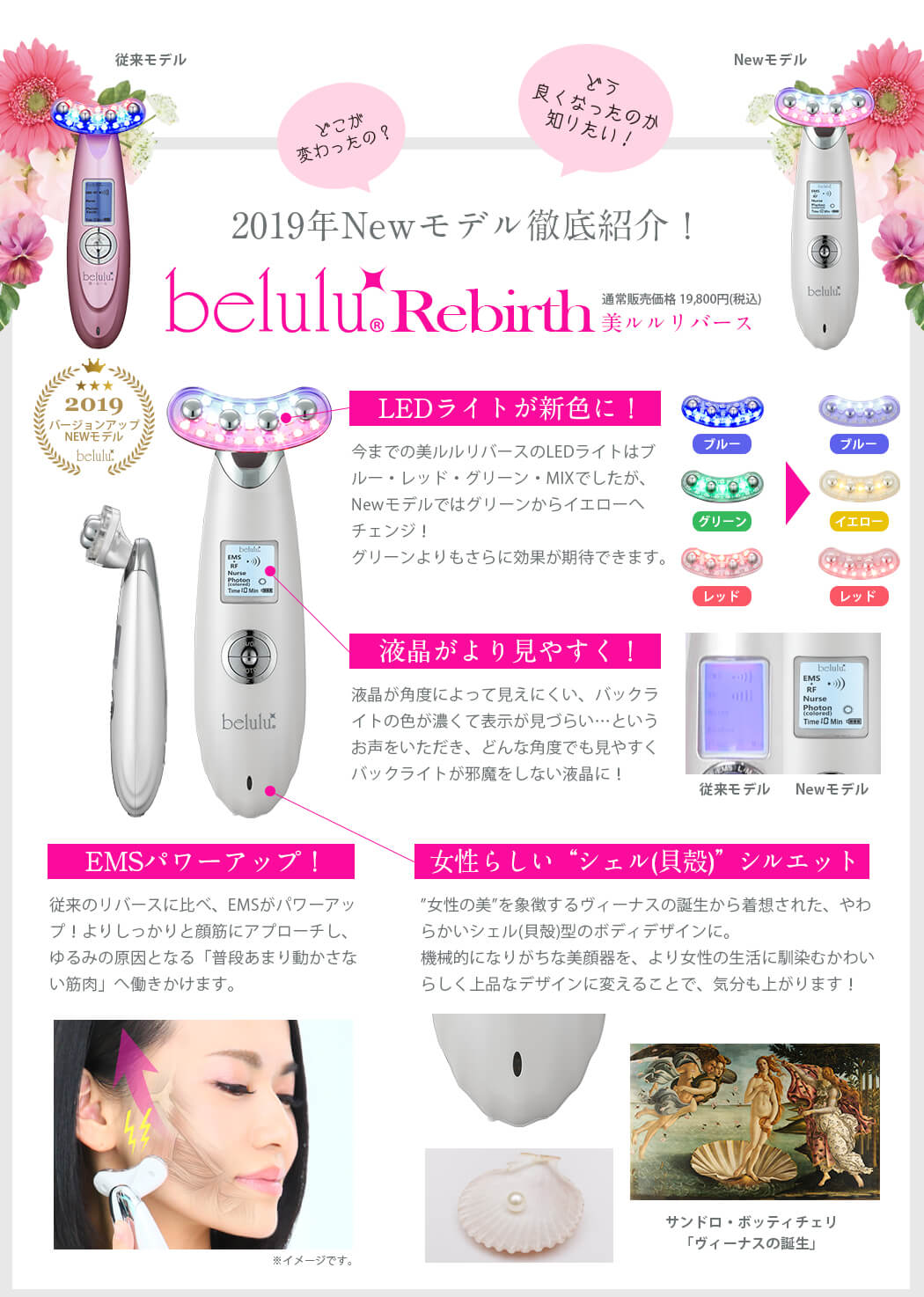美ルル リバース