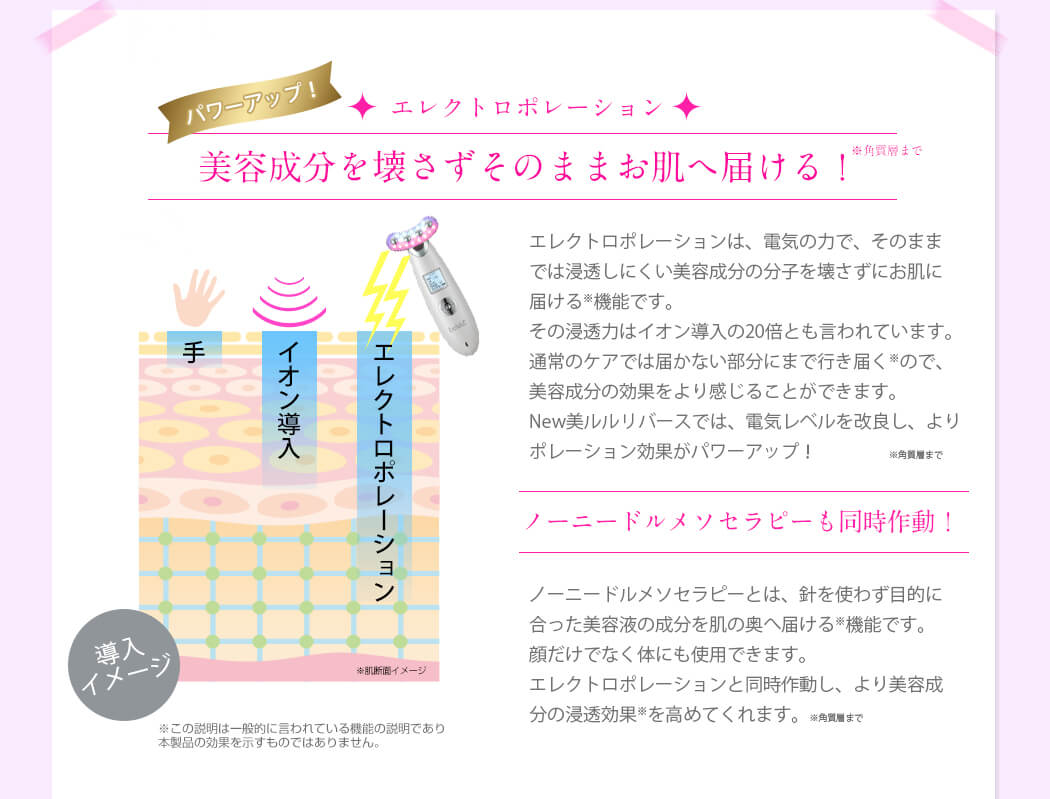 美ルル リバース