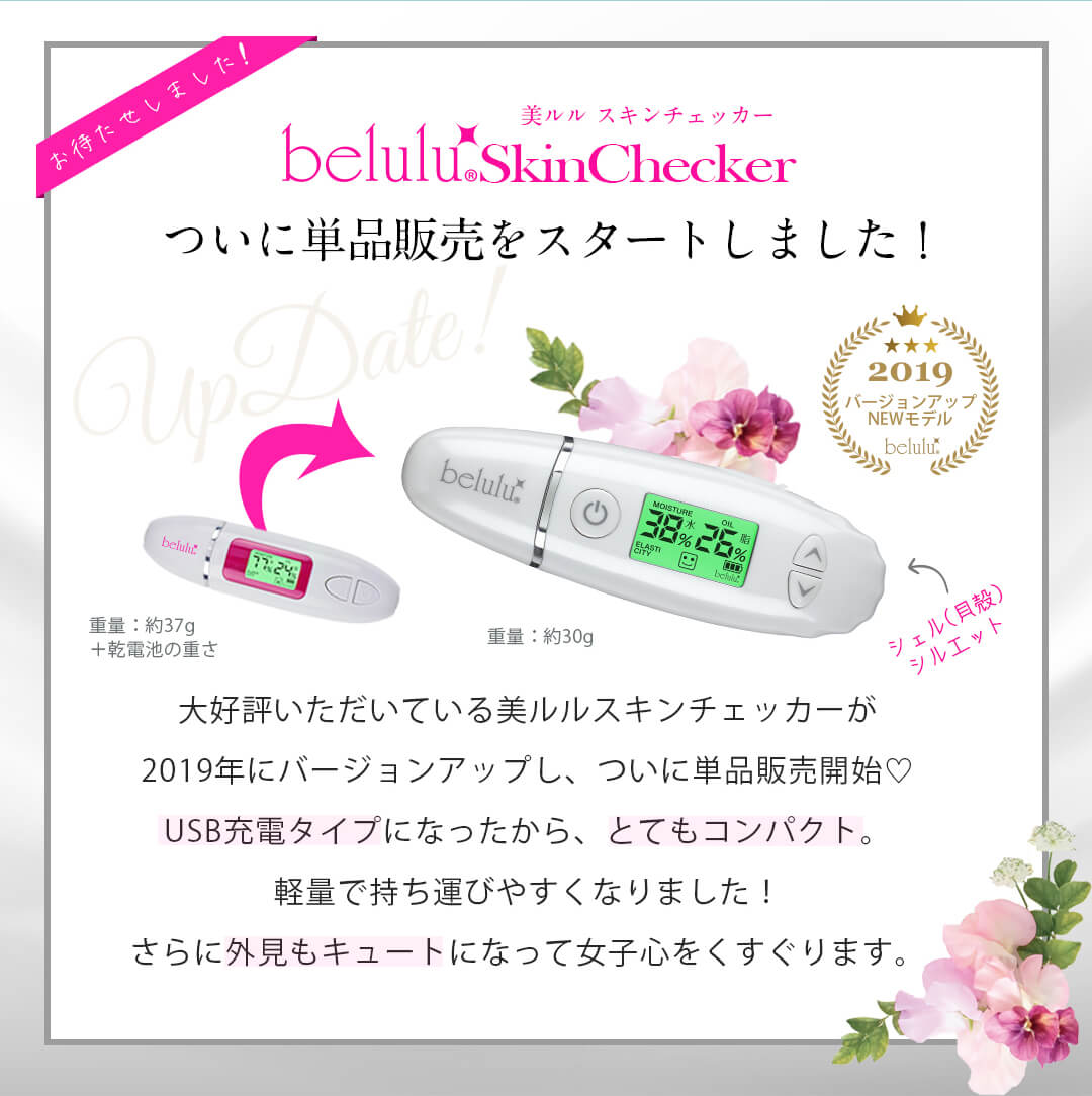 美ルル スキンチェッカー