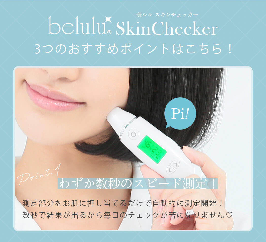 美ルル スキンチェッカー