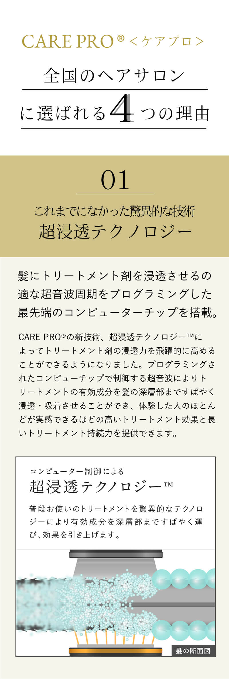 ケアプロ トリートメント浸透促進アイロン