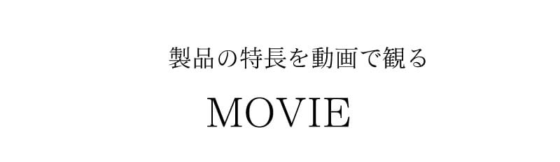 ケアプロ トリートメント浸透促進アイロン