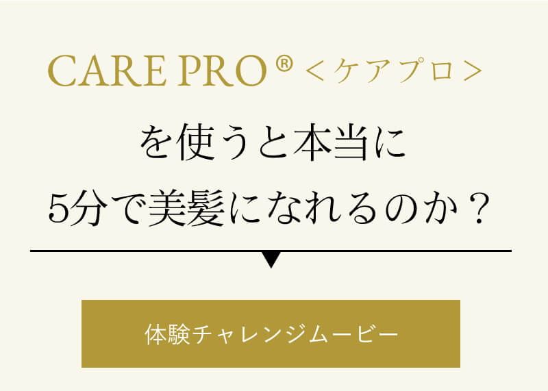 ケアプロ トリートメント浸透促進アイロン