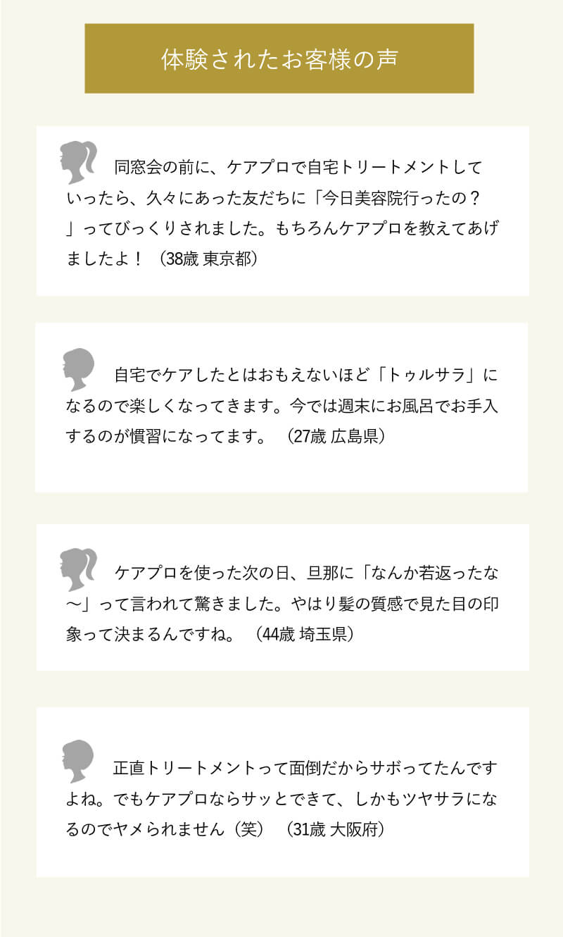 ケアプロ トリートメント浸透促進アイロン