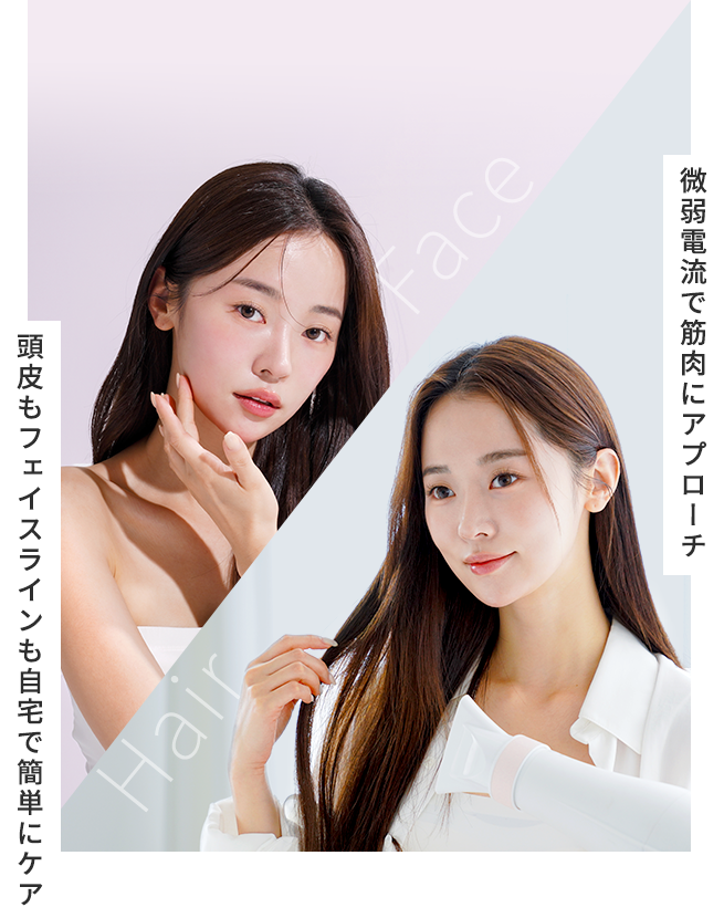 電気ブラシ特集