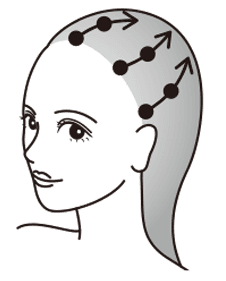 前頭部／側頭部