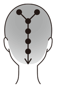 頭頂部／後頭部