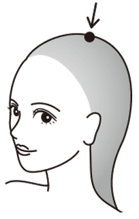 頭頂部／後頭部