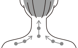 前頭部／側頭部