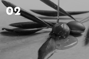 フラグ 配合成分イメージ写真