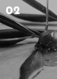 フラグ 配合成分イメージ写真