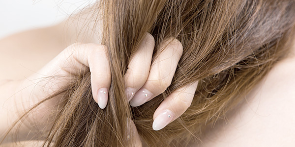 乾燥した髪におすすめのヘアオイル