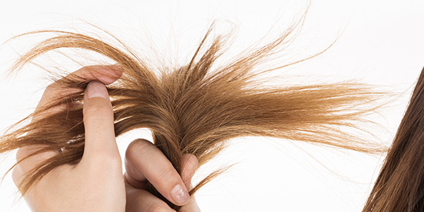 ダメージ毛におすすめのヘアオイル