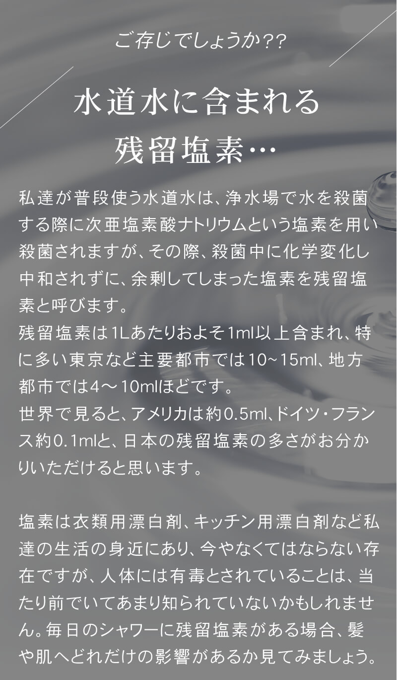 ホリスティックキュア シャワーヘッド