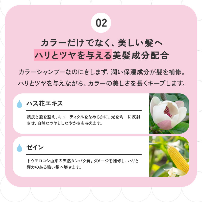 《正規販売店》ILOA イロア（カラーシャンプー）