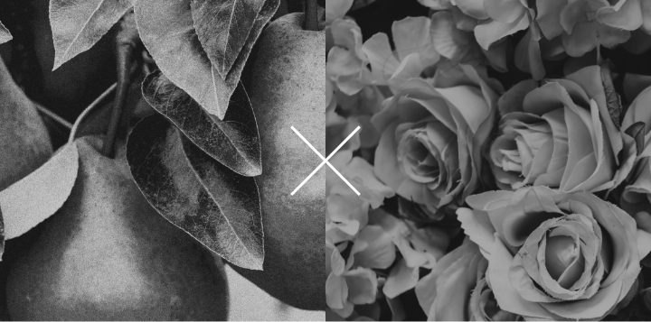 LOA THE OILシリーズでは、他の香りとミックスして楽しめます