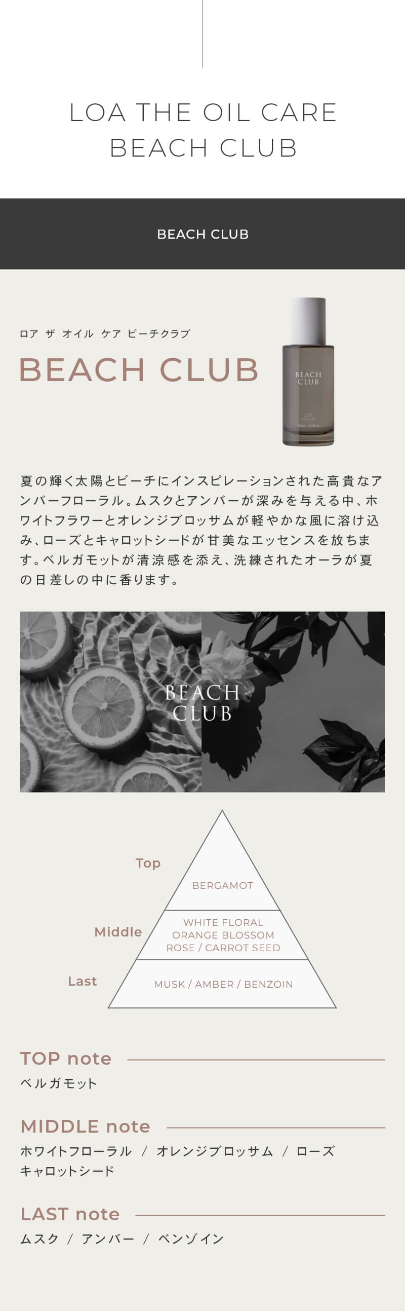 正規販売店】LOA the oil CARE ロア ザ オイル ケア ビーチ