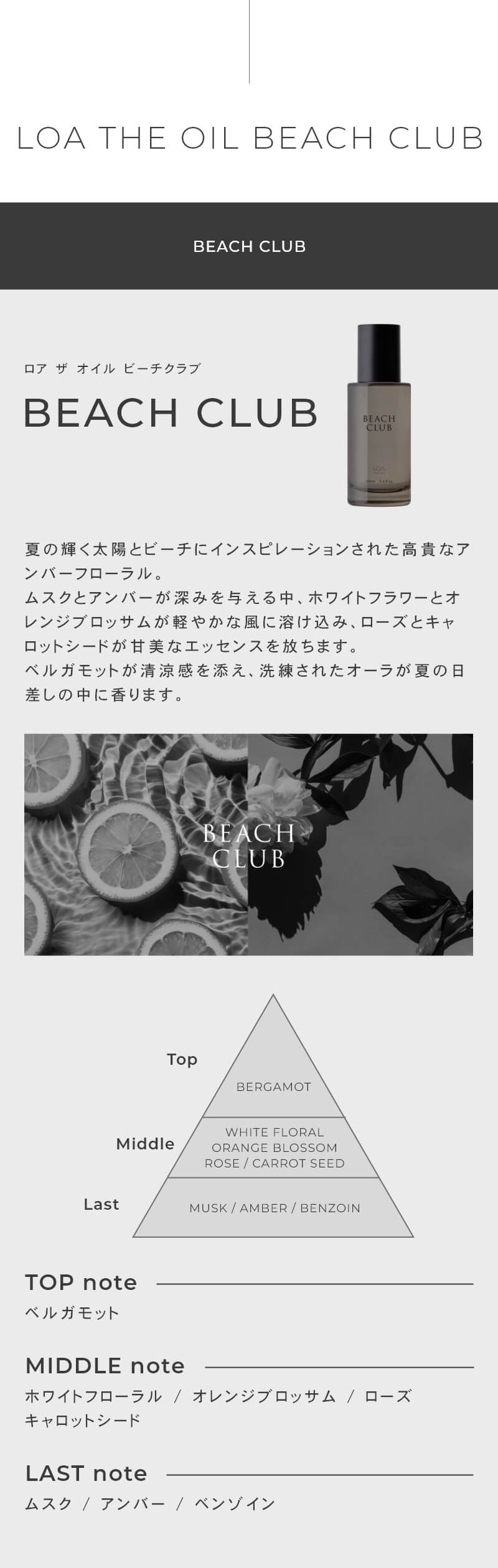 ロア ザ オイル ビーチクラブ