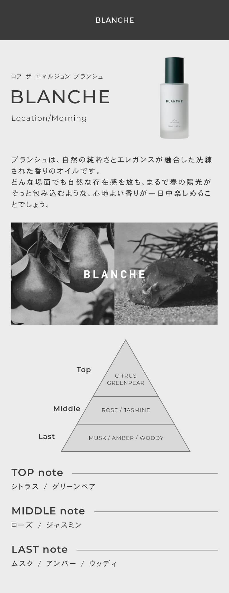 LOA THE EMULSION<br>（ロア ザ エマルジョン）