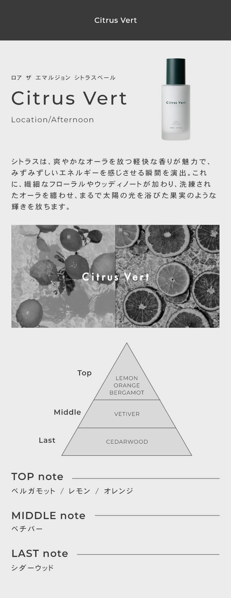 LOA THE EMULSION<br>（ロア ザ エマルジョン）