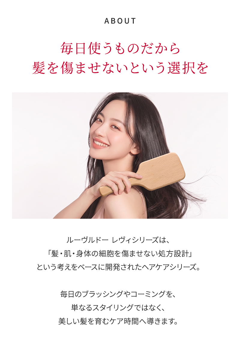 ルーヴルドー レヴィ　電子ジャンボコーム