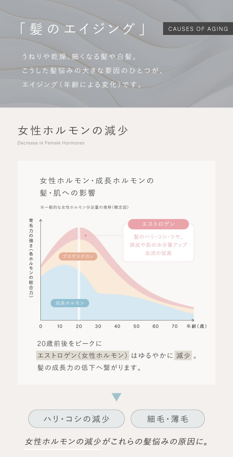 LUTY コンプリートセット