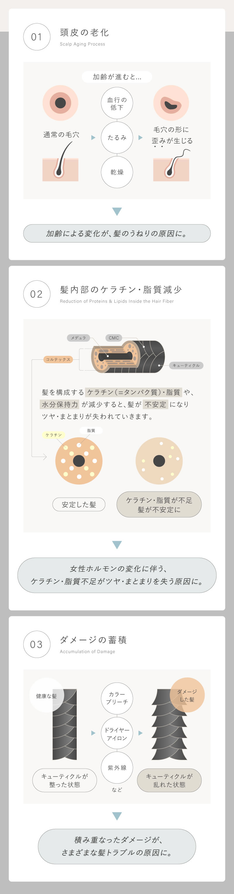 LUTY コンプリートセット