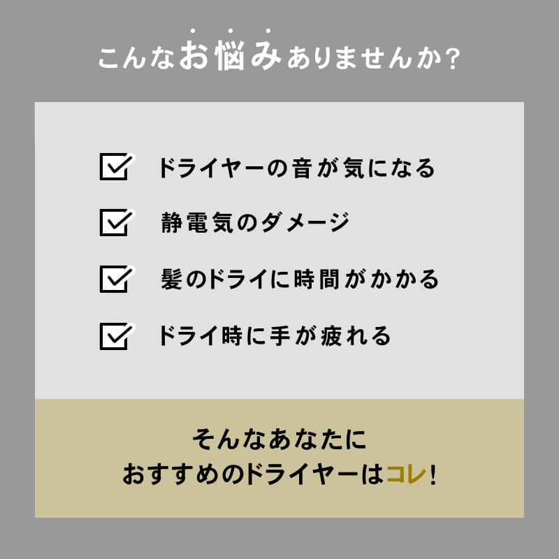 Maxell マクセル アンジェリーク プロフェッショナルヘアドライヤー