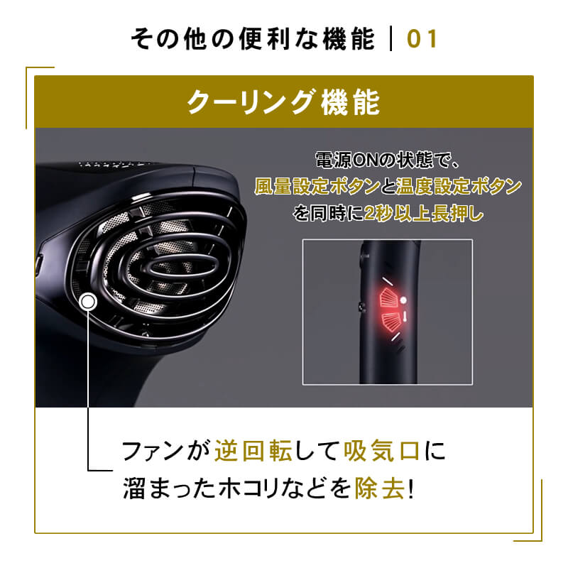 Maxell マクセル アンジェリーク プロフェッショナルヘアドライヤー