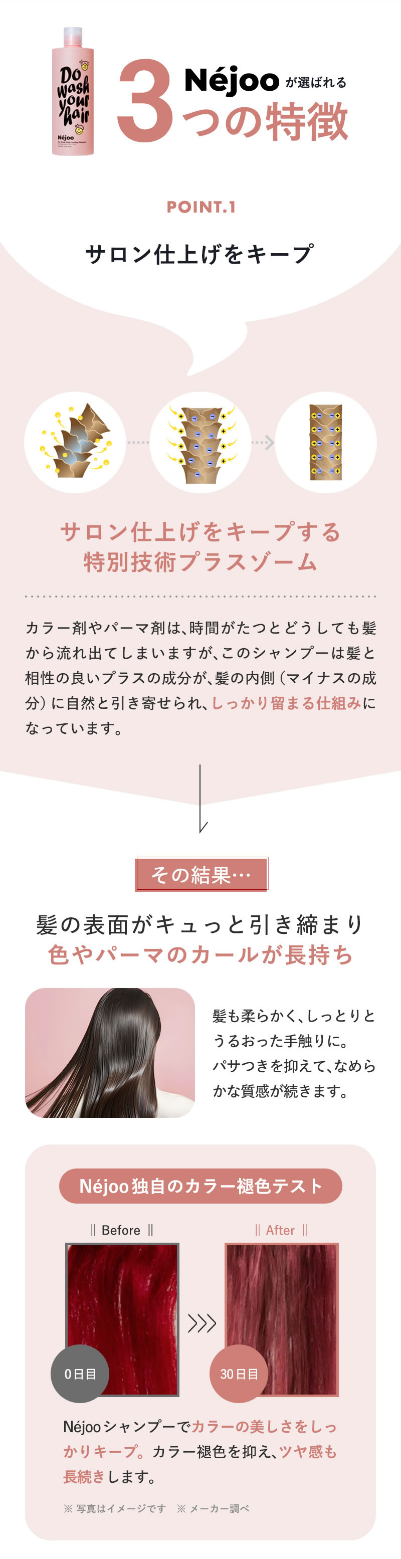 ネジュ ドゥ ウォッシュ スタイル ラスティング シャンプー