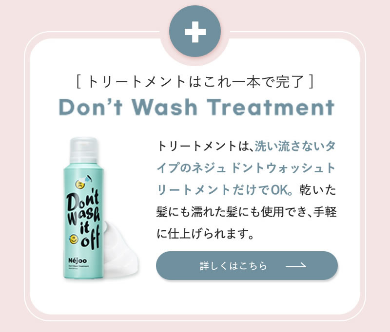ネジュ ドゥ ウォッシュ スタイル ラスティング シャンプー