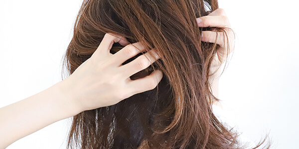 乾燥した髪におすすめのヘアミルク