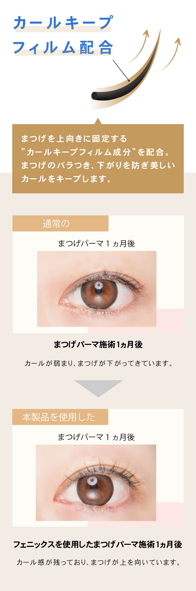 フェニックスアイ カールアップコーティング