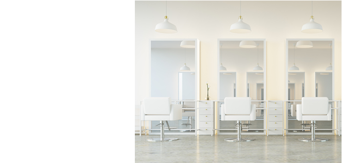 シルクプロアイロン ラディアントR アイロンプレート ストレート