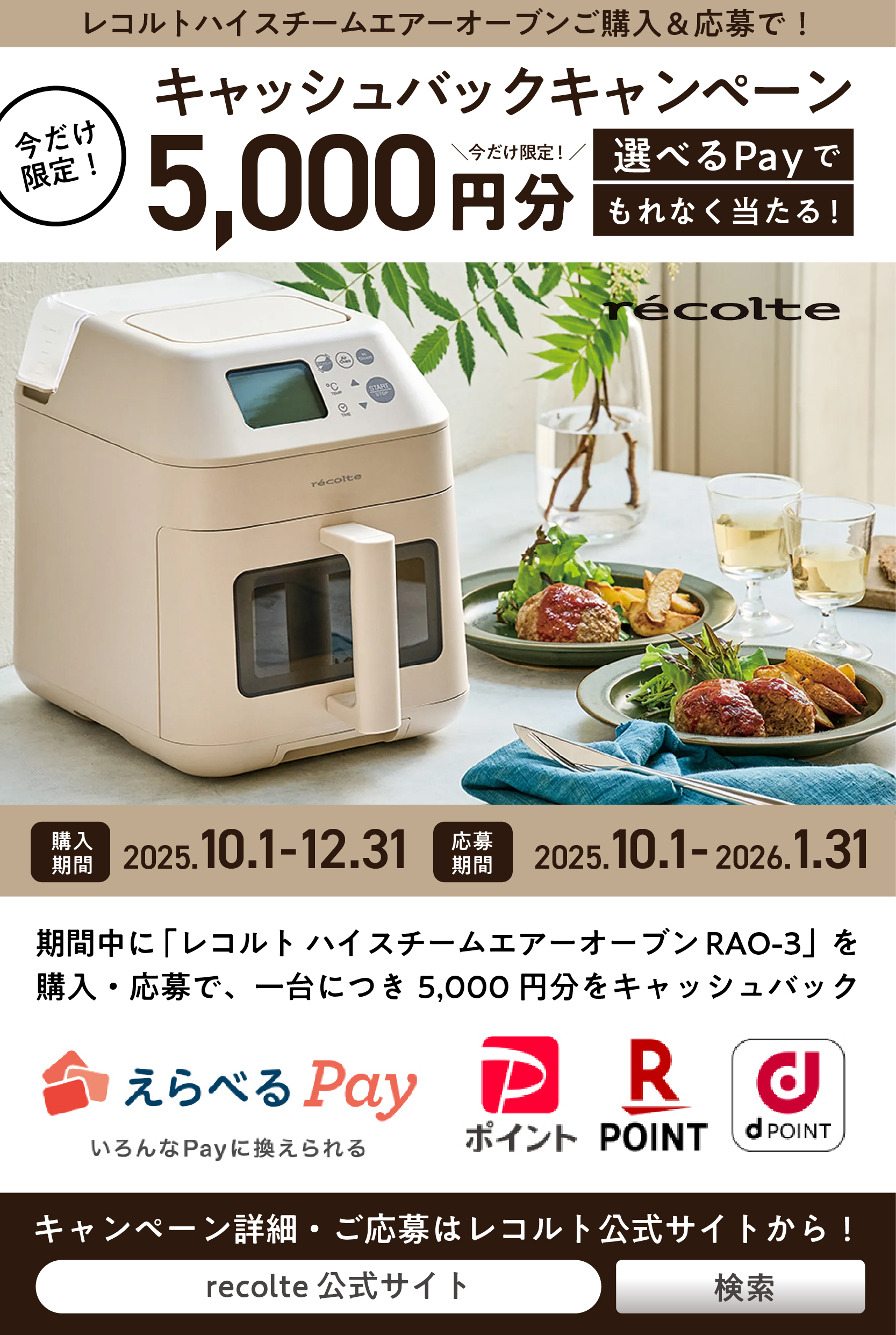 正規品/送料無料/選べるカラー】recolte レコルト ハイスチーム エアー