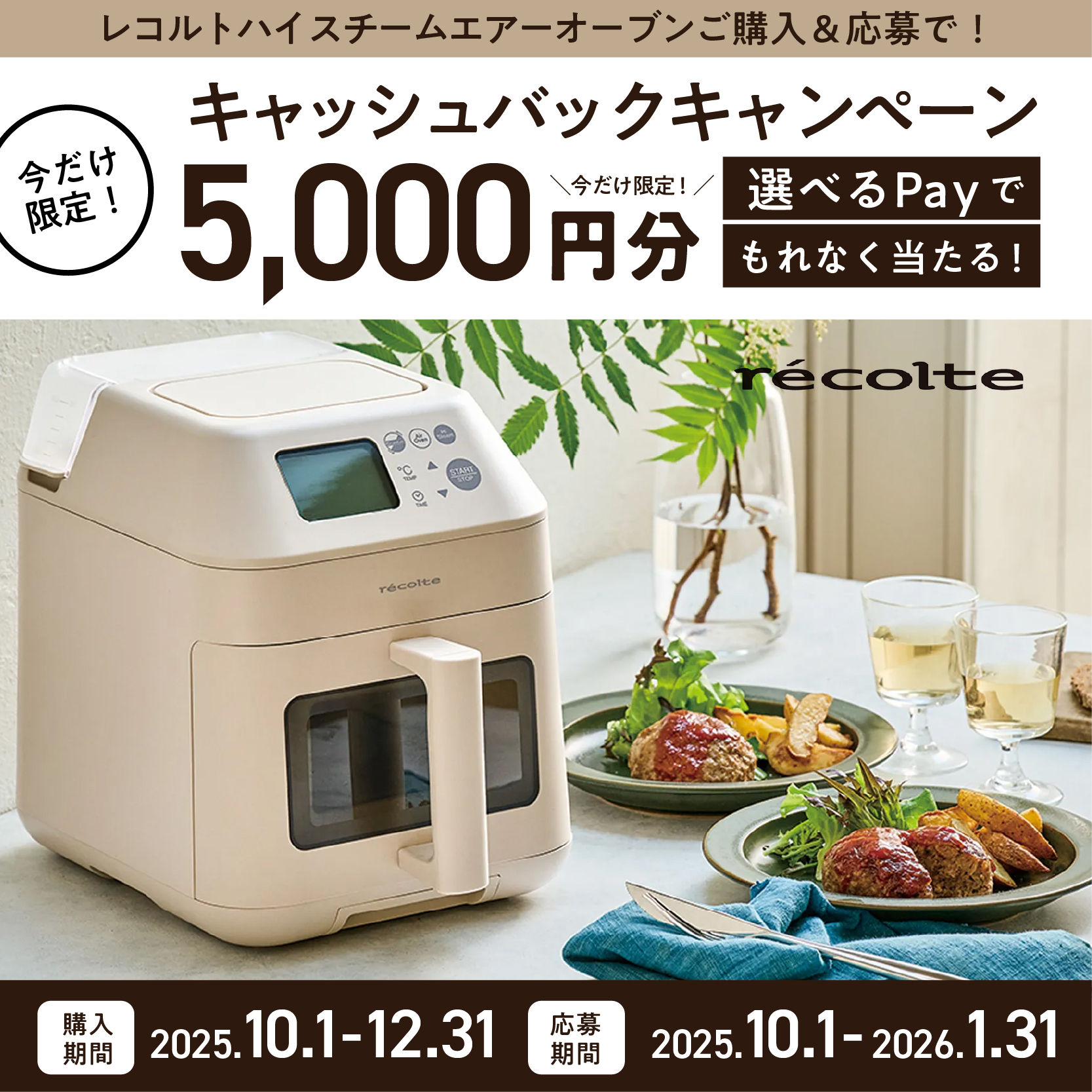 正規品/送料無料/選べるカラー】recolte レコルト ハイスチーム エアー